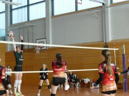 Spielszenen 10 Sp. in Harthau